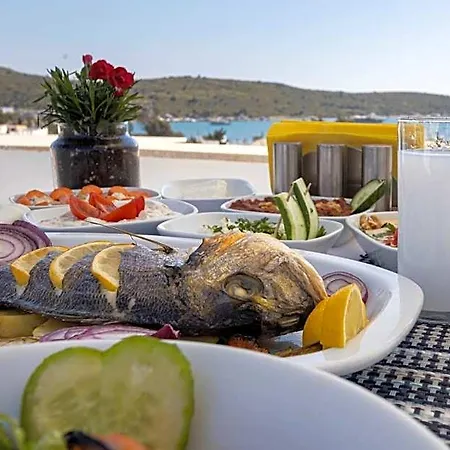 Hola Bodrum