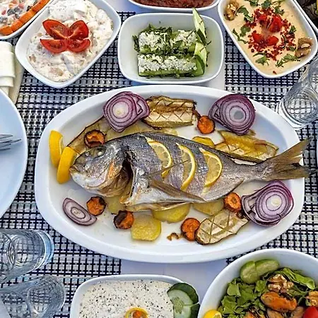 מלון Hola Bodrum